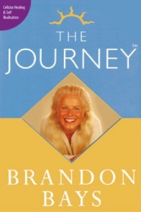 TheJourney