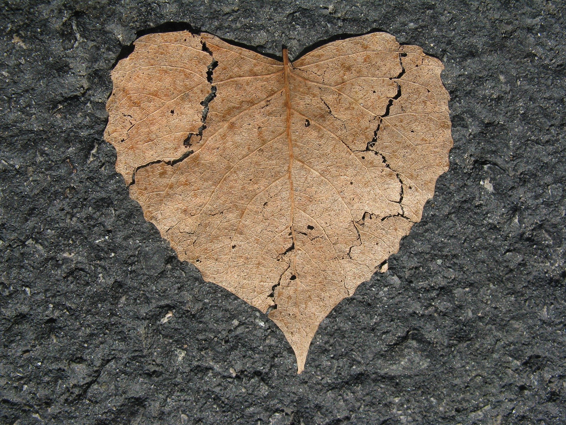 Heal from Betrayal with EFT Tapping technique 