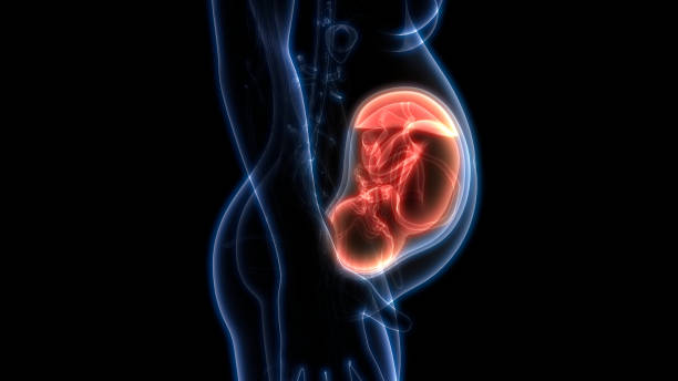 EFT Tapping Technique For A Healthy Pregnancy