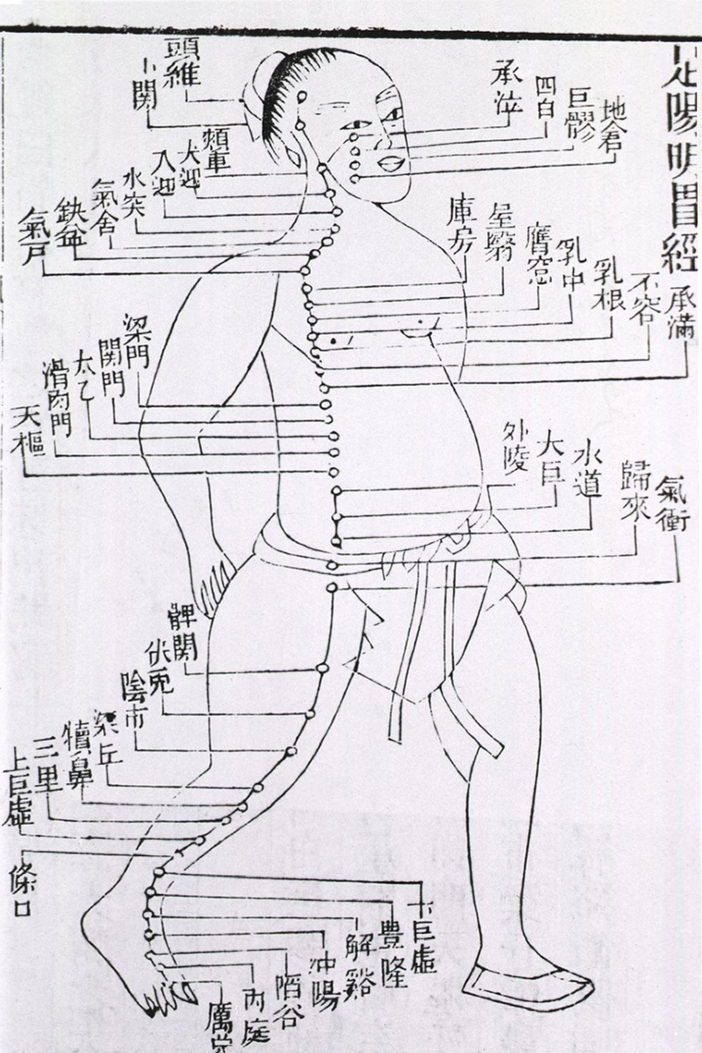 Accupuncture Meridian Points