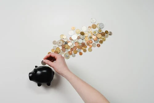Financial freedom; money magnet; bank account
