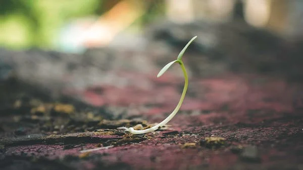 Journey to becoming a certified life coach