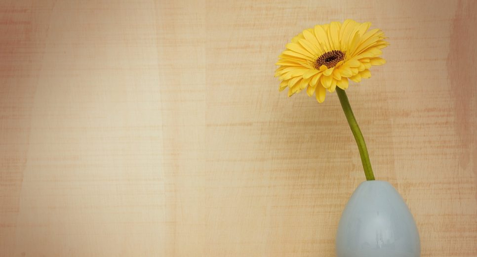 Life Coach Training: Become a Certified Professional Life Coach