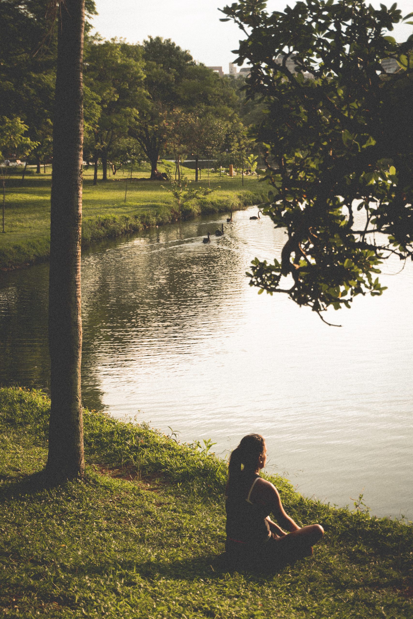 Efficacy of EFT Tapping and EMDR on negative thoughts Efficacy of EFT Tapping and EMDR on negative thoughts