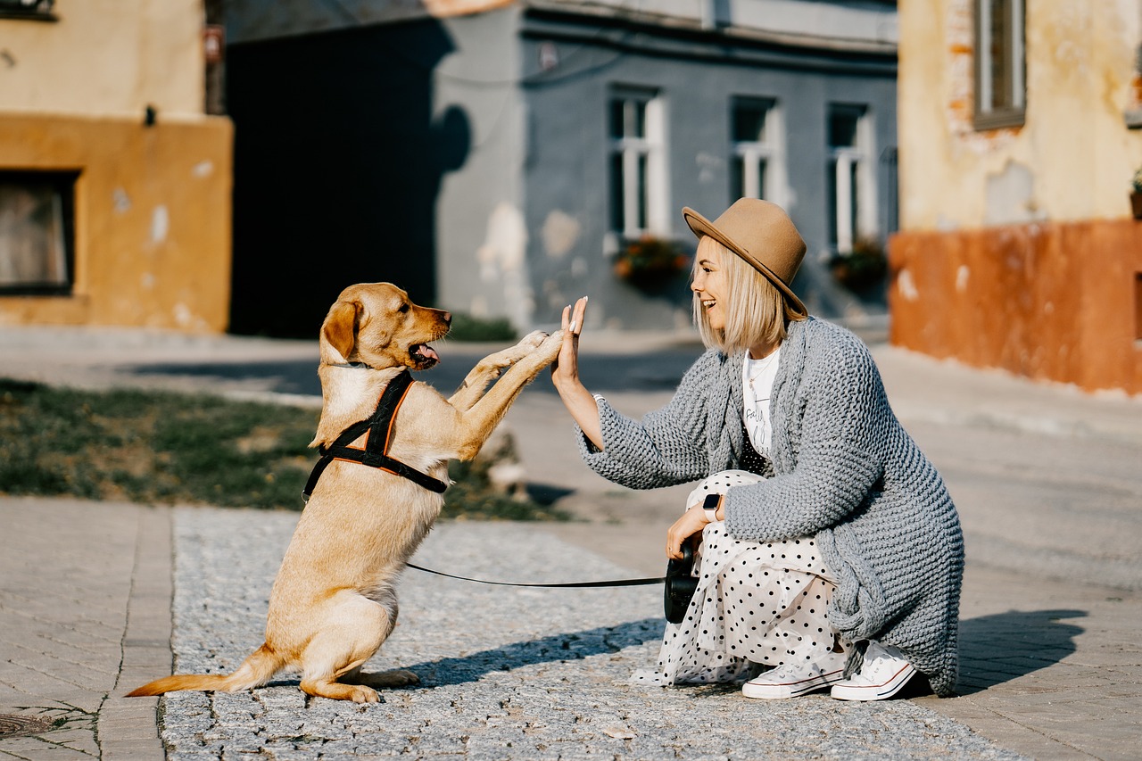 Surrogate EFT Tapping, Surrogate tapping for pets, Surrogate EFT Tapping for animals
