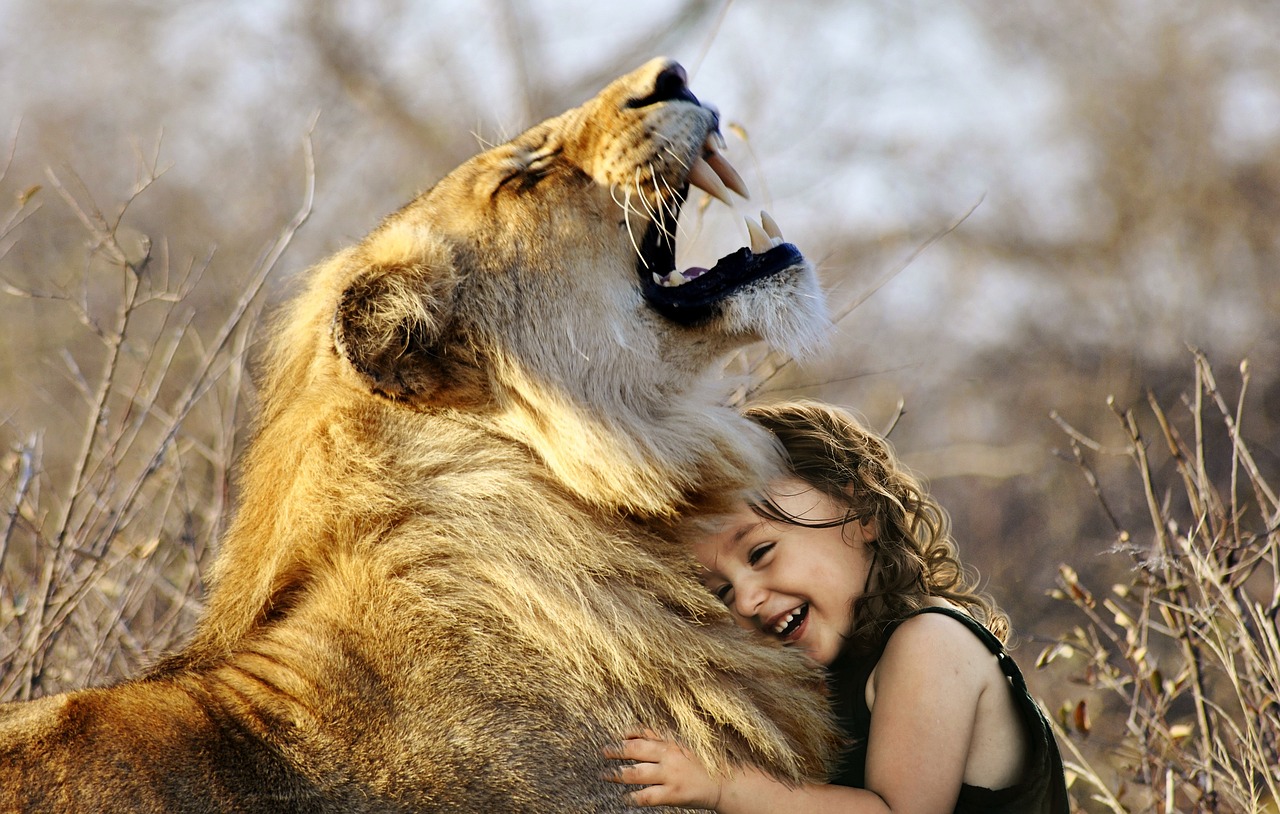 EFT Tapping for animal health and wildlife